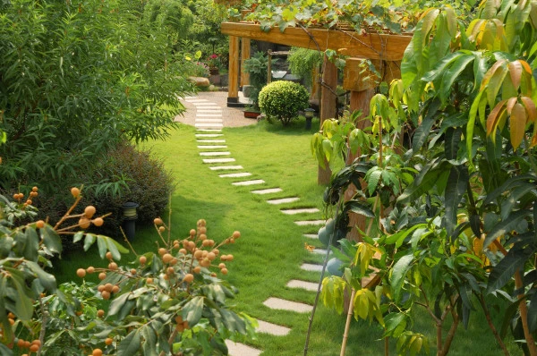 Entretien de jardin à Saint-Germain-du-Pinel